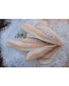 Sjöfryst Koljafilé MSC 200-400gr 10 kg