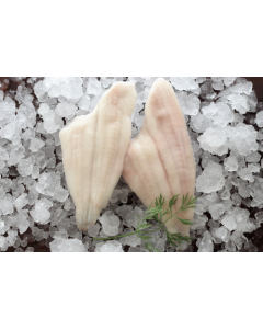 Stillahavskungsflundra 120-160gr 4 kg 