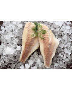 Uerfilé u skinn 140-180 gr MSC 4