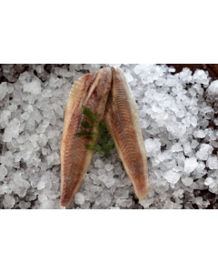 Sejfilé 100-200gr MSC 4,5kg