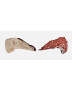 Tri Tip 10x1,1kg